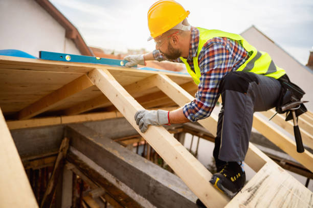 Best Roof Gutter Cleaning  in Junction, TX